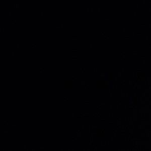 Meet your Posher, Aiden